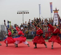 철원 DMZ 중앙 평화 꽃송이 축제 개막 인기