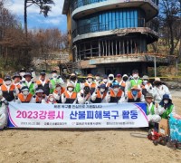 강릉산불 피해복구, 철원군 자원봉사자들의 힘을 보태다